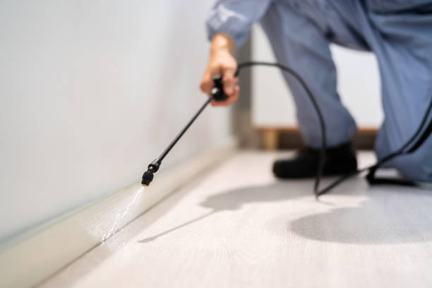 Licensed Pest Control service in Mendenhall, MS - Show Me Pest Control