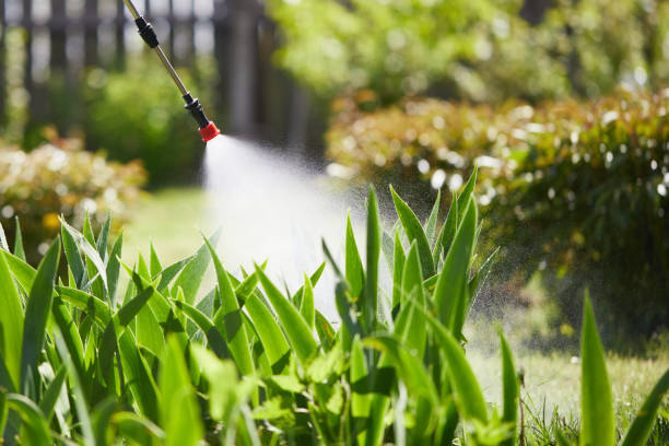 Tamper-Resistant Bait Stations for Rodents in Mendenhall