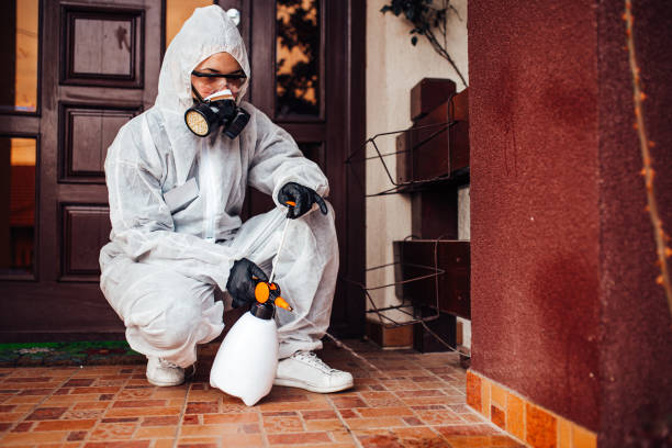 Attic and Crawl Space Rodent Treatment in Mendenhall